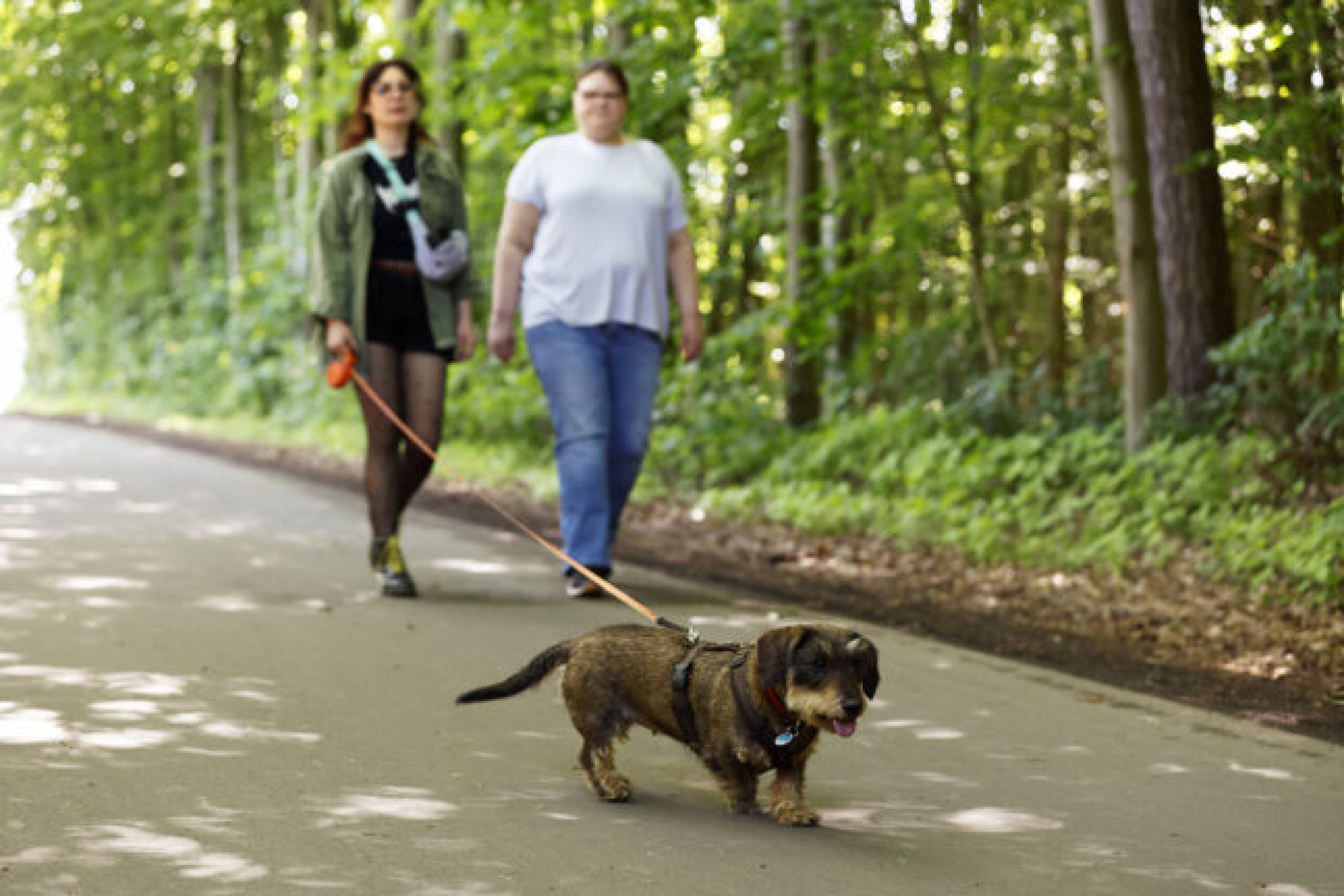 22.05.2026
Recklinghausen
Hunde-Ernährungsberaterin Sabrina Kahlhoff ( weißes Shirt ) unterwegs mit Karoline Jankowski 
foto: copyright  marco stepniak  -  

mobil  +49  171-2771906   marco@stepniak-bild.de